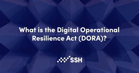 Understanding the Digital Operational Resilience Act (DORA).